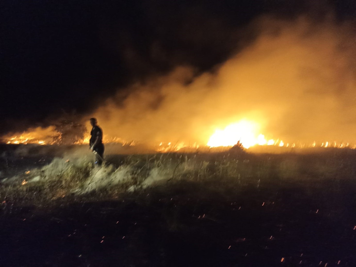 Akçadağ'da Çıkan Yangında 25 Kayısı Ağacı Hasar Gördü