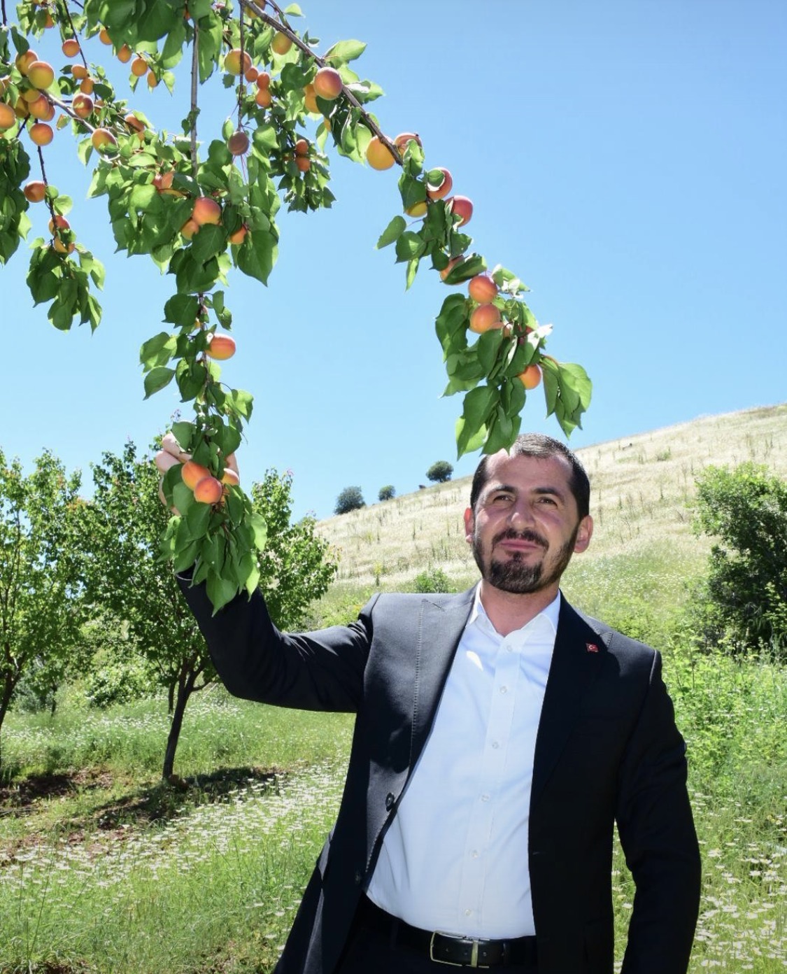 Kayısıda İlk Hasat Pütürge'den